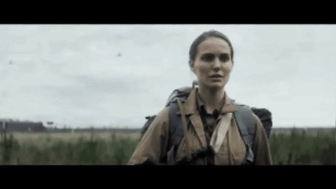 Annihilation
